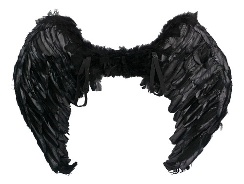 Ala De Pluma Negra