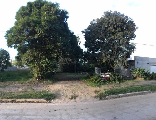Tapalque: Venta De Terreno
