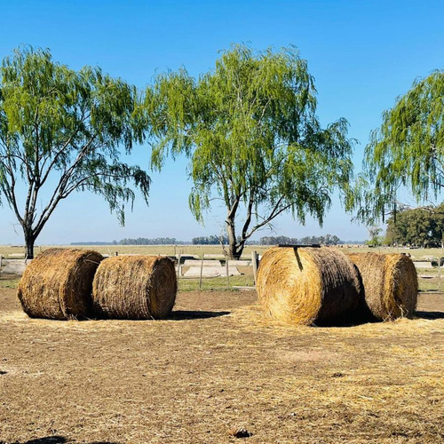 Campo De 15,41 Hectáreas Con Casa