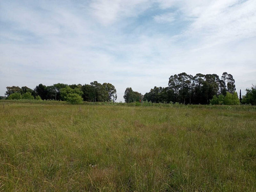 Terreno Lote En Venta En Coronel Suárez, Resto De La Provincia, Buenos Aires
