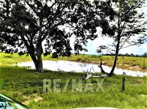 Imagen 3 de 4 de Vende Finca Terreno Upata