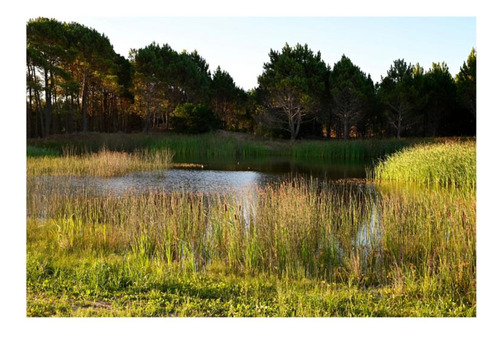 Northbeach Lotes Venta Pinamar