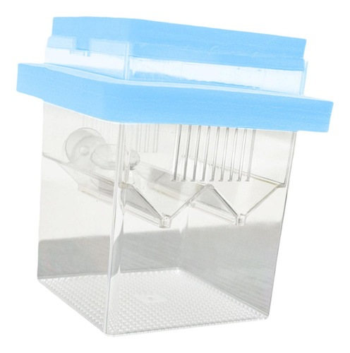 Caja De Reproducción De Peces Flotantes Caja De Azul