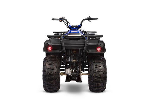 Imagem 6 de 8 de Quadriciclo 150cc Utilitário Automático Vermelho