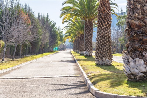Imagen 16 de 17 de Sitio En Venta En Colina, Sector Piedra Roja