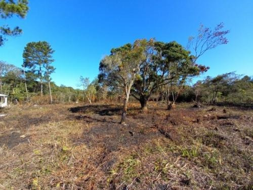 Imagem 9 de 9 de Terreno À Venda Com Lago. Itanhaém/sp 9041-pc