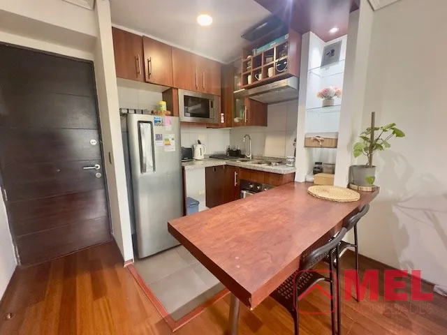 Imagen 4 de 29 de Departamento En Venta De 1 Dorm. En Santiago