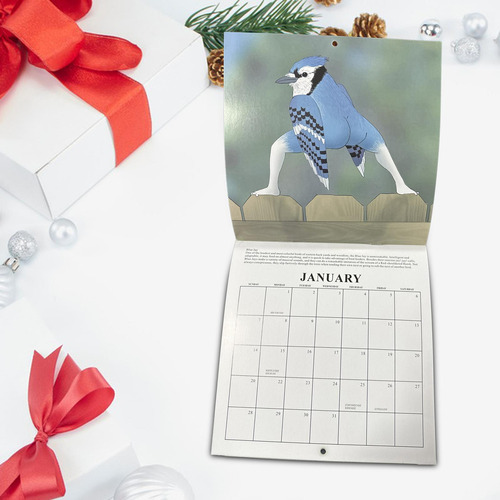 2 Calendário De Pássaros Engraçados 2024, Presentes