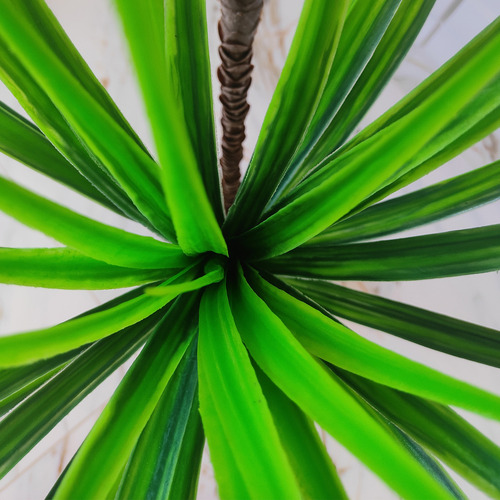 Planta Artificial Palmeira Yucca 3 Ramos Sem Vaso Decoração Cor Verde
