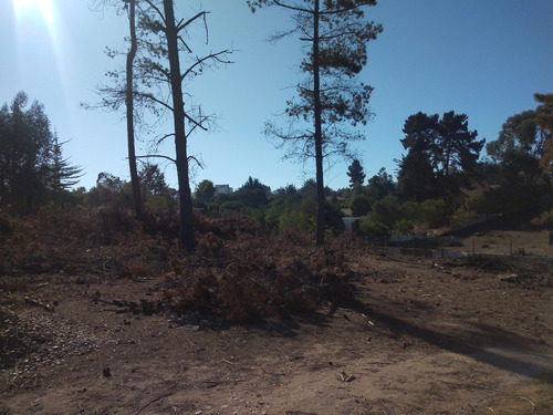 Reñaca, Los Pinos, A 2 Cuadras De Avda. Gastón Hamel