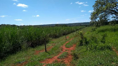 Imagem 16 de 30 de Fazenda De Pecuária E Agricultura 620 Hectares Curvelo Mg - 7557