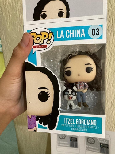Imagen 3 de 8 de Funko Pop Personalizado ¡express! + Caja+ Mascota