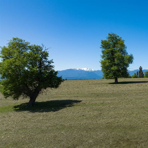 Parcelas Camino A San Fabián De Alico, Rol Propio, 5000m2