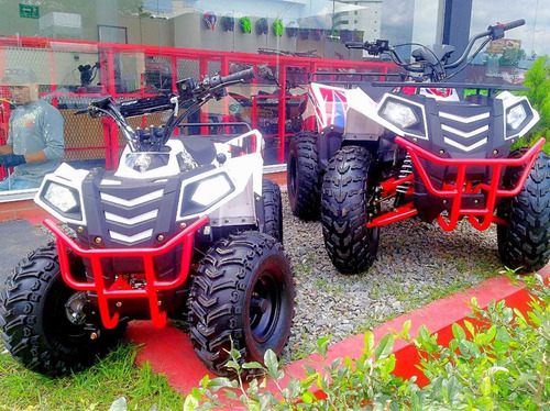 Cuatrimoto Polar 110 Motor 4t