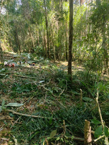 Imagem 7 de 14 de A26- Venha Viver Com Os Sons Dos Pássaros, Lote 100% Seguros