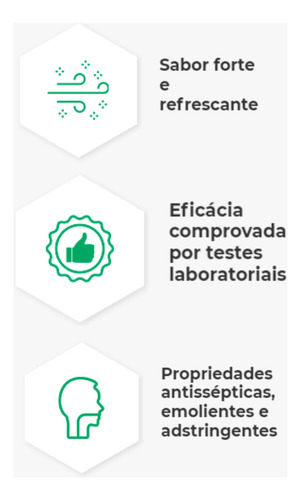 Kit C2 Spray Propomalva Bucal Antisséptico - Apis Flora