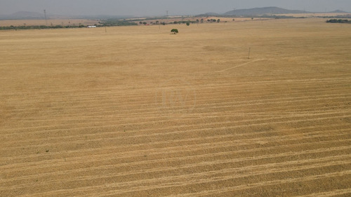Imagem 8 de 10 de Fazenda 512ha (106 Alq) Próximo De Uruaçu R$ 30.000.000 - Cha86