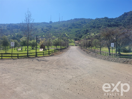 Venta De Parcela, Camino A Zapallar Curicó, 6.142 M2