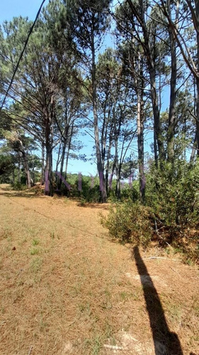 Imagen 11 de 16 de Venta De Lote En Barra Verde, La Barra, Uruguay - La Barra Barra Verde