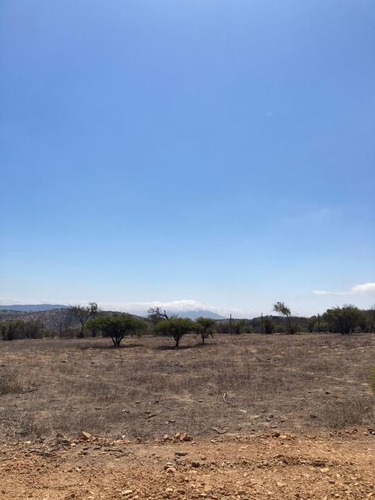 Imagen 5 de 16 de Sitio Condominio Foresta De Zapallar/ruta 5 Norte