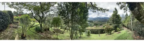 Rhbr-11576 Finca (guarne)
