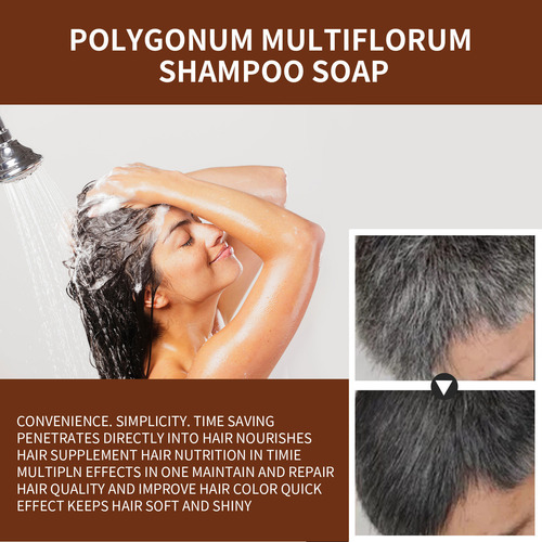 Jabón Para El Cuidado Del Cabello R Con Polygonum Multifloru