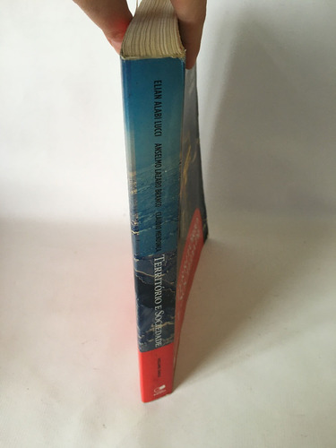 Livro Território E Sociedade No Mundo Globalizado Volume Único J064 (Usado)
