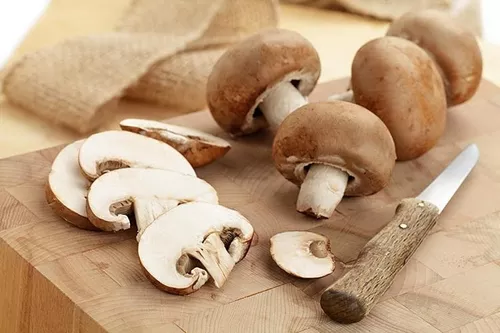 Shitake Desidratado - N'Ativa Produtos Naturais