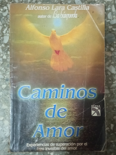 Caminos De Amor - Alfonso Lara Castilla