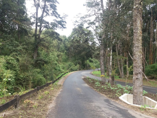 Parcela En La Reserva De Frutillar Naturaleza, Exclusivida