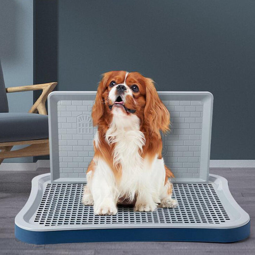 Mictório Higiênico Lavável Para Cães Com Coluna Azul