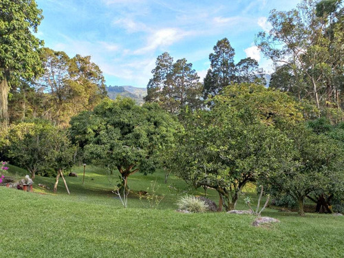 Imagen 19 de 25 de Vendo Finca En Barbosa 2500m2