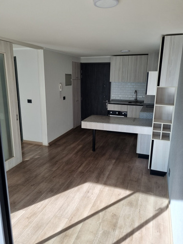 Arriendo Depto. Excelente Ubicacion (1d1b + Bodega)