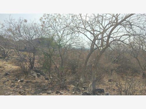 Imagen 2 de 3 de Terreno En Venta Fracc Praderas De Oaxtepec
