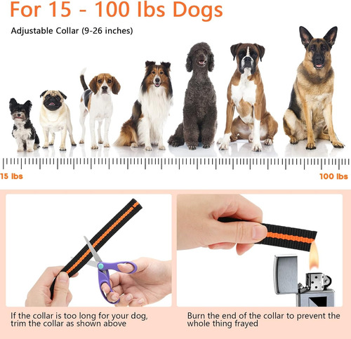 Collar De Entrenamiento Para Perros Maisoie