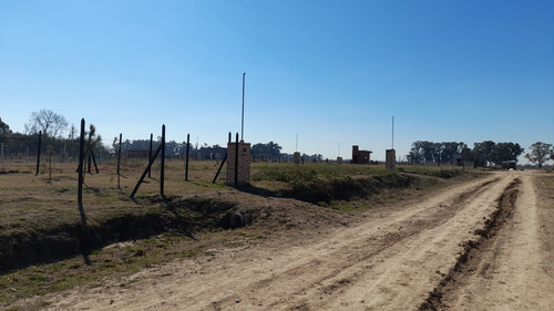 Las Gaviotas de Canning