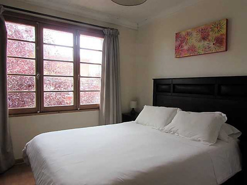 Cauquenes, Local Comercial 272 M2 (97761)