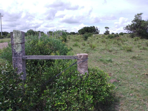 Campo Con Muy Buena Vista, Alto, Bien Ubicado