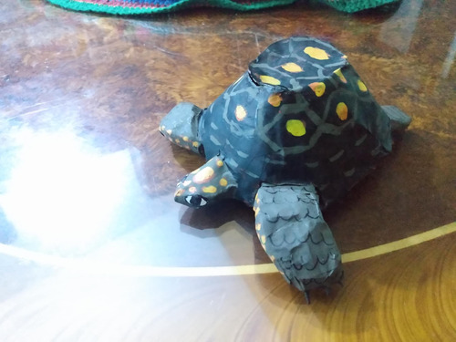 Proyecto Escolar : Morrocoy Que Camina - Motor Dc