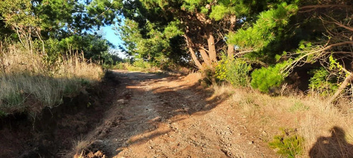 Parcela 3000 M2 En Venta Cobquecura