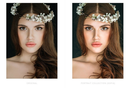Coleção Presets Para Retrato + Brushes E Toolkit