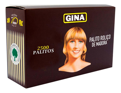 Palito De Dente Gina Caixa Com 100 Unid Kit 25