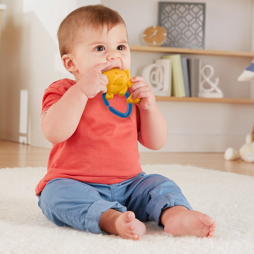 Juguete Para Bebés Fisher-price Mordedera De La Selva Monito