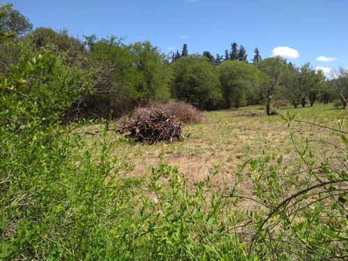 Terreno En Venta En La Poblacion Cordoba