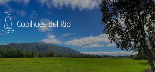 Venta Parcelas Villarrica - Loteo Copihues Del Río 