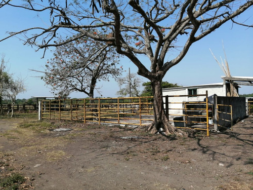 Hectáreas En Venta Veracruz Localidad El Pando, Veracruz.