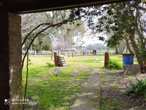 Imagen 8 de 30 de Lindísimo Campo En Veronica, Punta Indio