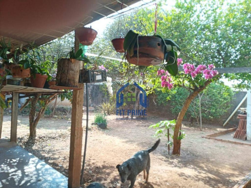 Casa Com 3 Dormitórios À Venda, 150 M² Por R$ 350.000,00 - São Francisco - São José Do Rio Preto/sp - Ca2486