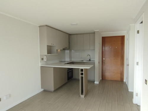 Arriendo Amplio Departamento 1d 1b Y Bod San Miguel