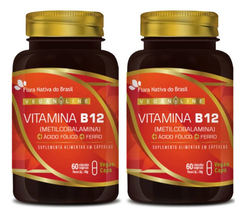2 Ferro + Ácido Fólico + Vitamina B12 Metilcobalamina Vegana